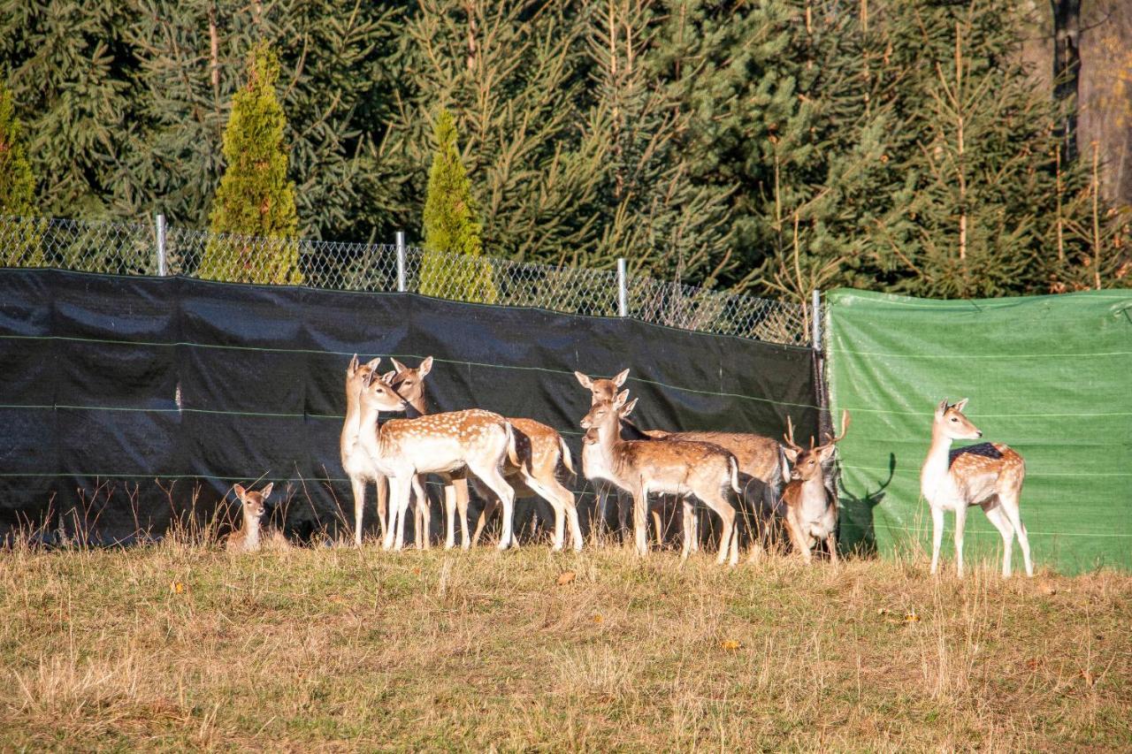 Grand Tatry - Miejsce Na Wyjatkowy Pobyt Dla Ciebie I Twojej Rodziny! - Sauna I Jacuzzi Wliczone W Cene Pobytu -10 Minut Pieszo Od Term Bania Bialka Tatrzanska Dış mekan fotoğraf