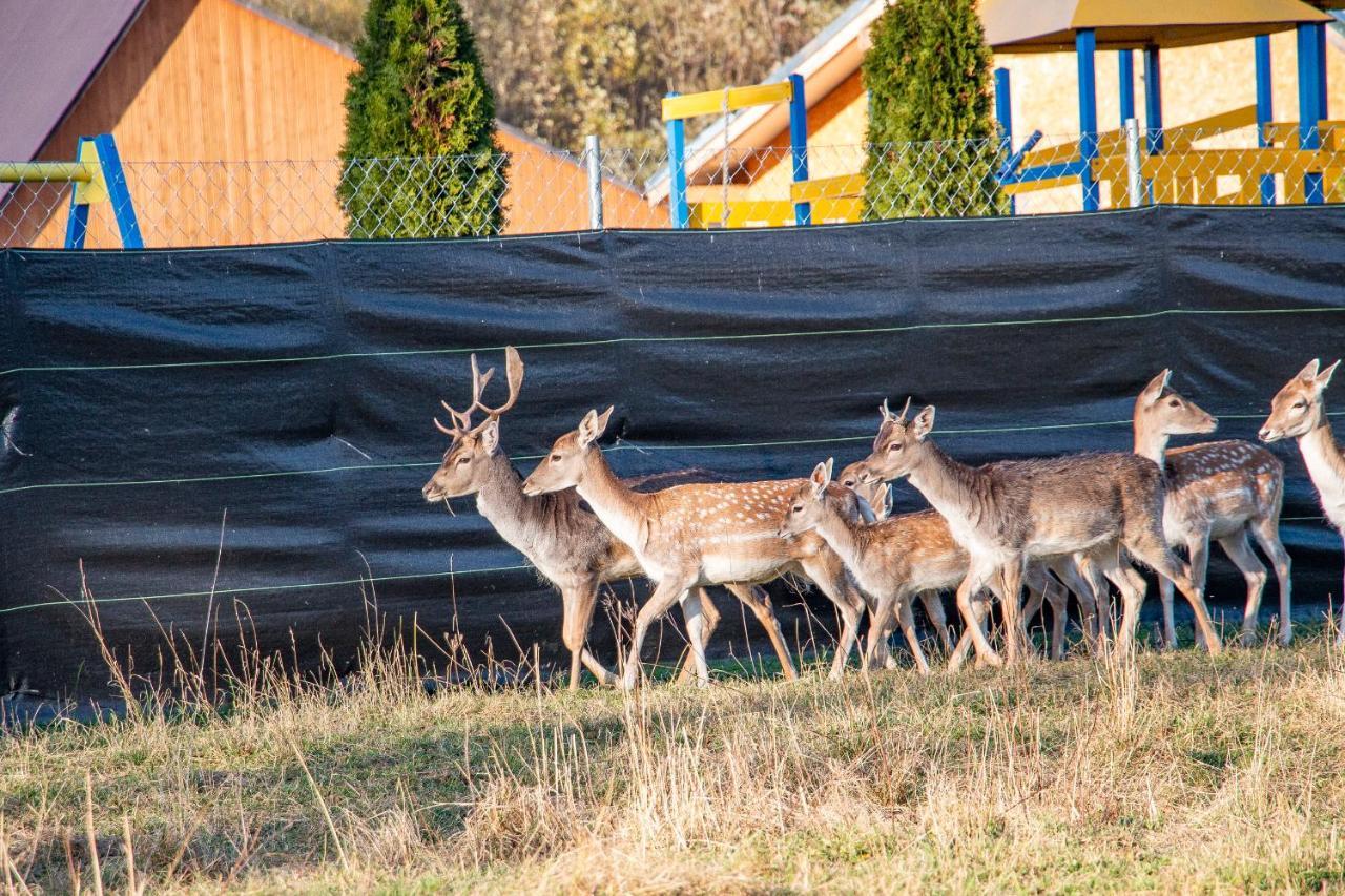 Grand Tatry - Miejsce Na Wyjatkowy Pobyt Dla Ciebie I Twojej Rodziny! - Sauna I Jacuzzi Wliczone W Cene Pobytu -10 Minut Pieszo Od Term Bania Bialka Tatrzanska Dış mekan fotoğraf